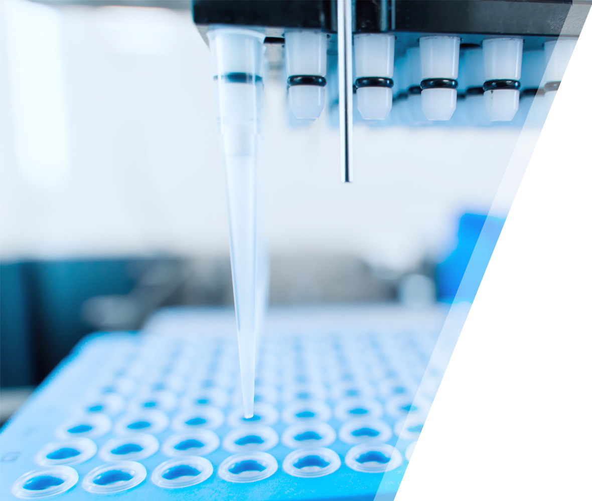 lab-universal-test lab-universal-test